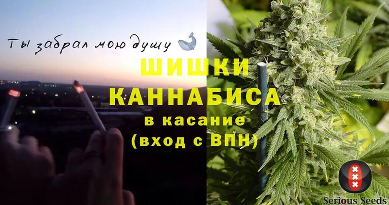 Бошки Шишки планчик  купить   гидра   Добрянка 